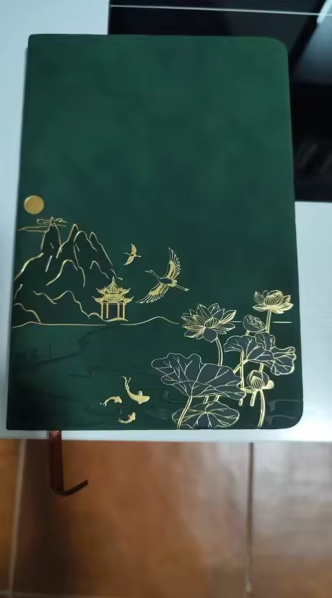 Customer review photo 1